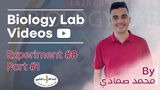 Biology Lab - Lab 8 part 1: Human Genetics by Mohammed Smadi