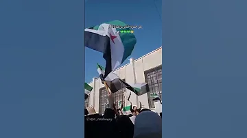 طير الحرية الطاير من فوق الشام سوريا Shorts ردع العدوان الدانا فديو 
