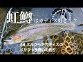 虹鱒はカディス好き！？　#8エルクヘアカディスのドリフトと誘いの釣り　【フライフィッシング】