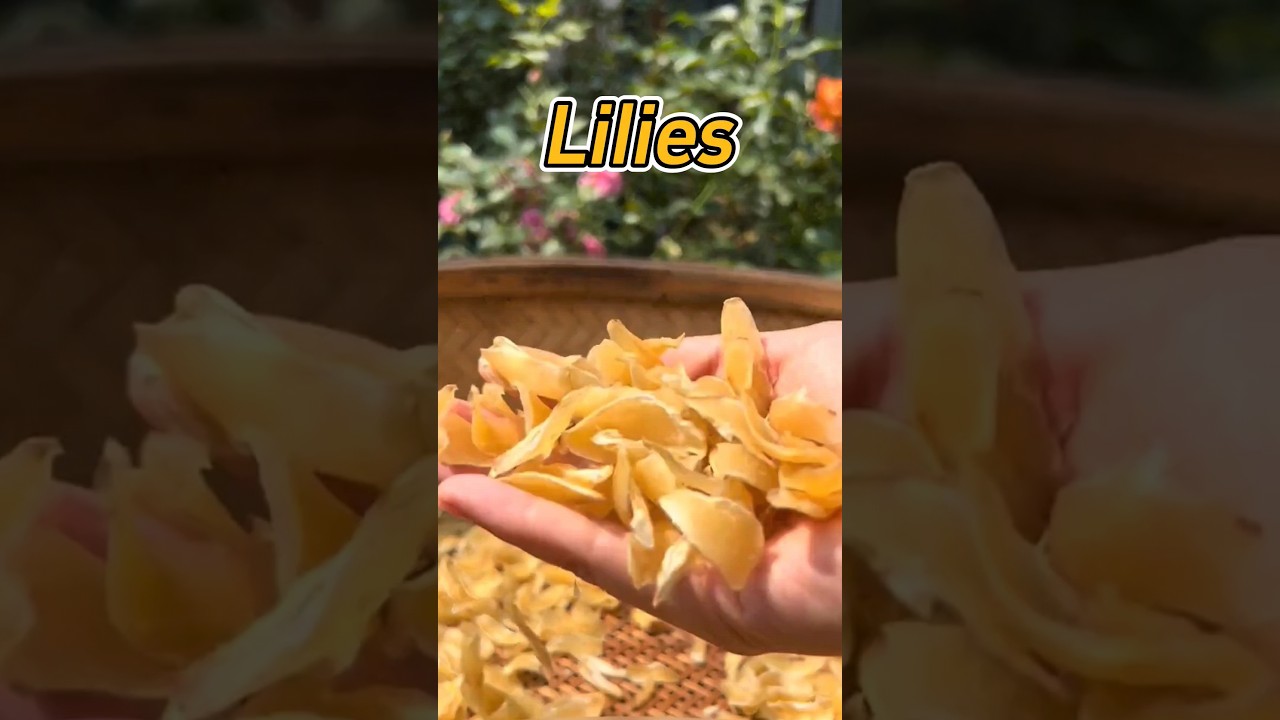 Dried lilies are really the treasure! Have you tried it before?