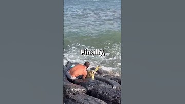 This Man helps A Turtle Get Unstuck From Rocks 👏💖