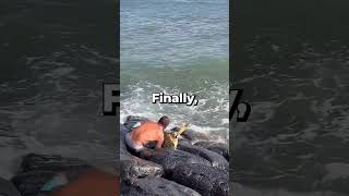 This Man helps A Turtle Get Unstuck From Rocks 👏💖