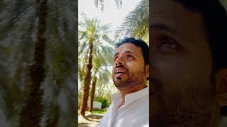 Exploring the Blessed Garden Salman Farsi&#39;s Oasis of Serenity and Seedless Dates #trending #muslim