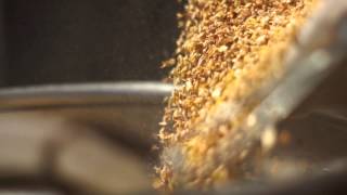 The Art of Brewing