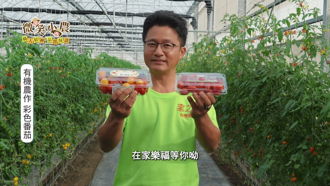微笑小農 ｜蜜之園有機番茄 農友蔡進煌 居然把番茄園當成家一樣！？ ｜有機驗證
