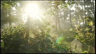 Relaxing And Peacefull Videos