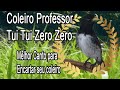 Coleiro Professor Canto Tui Tui Zero Zero para Encarte