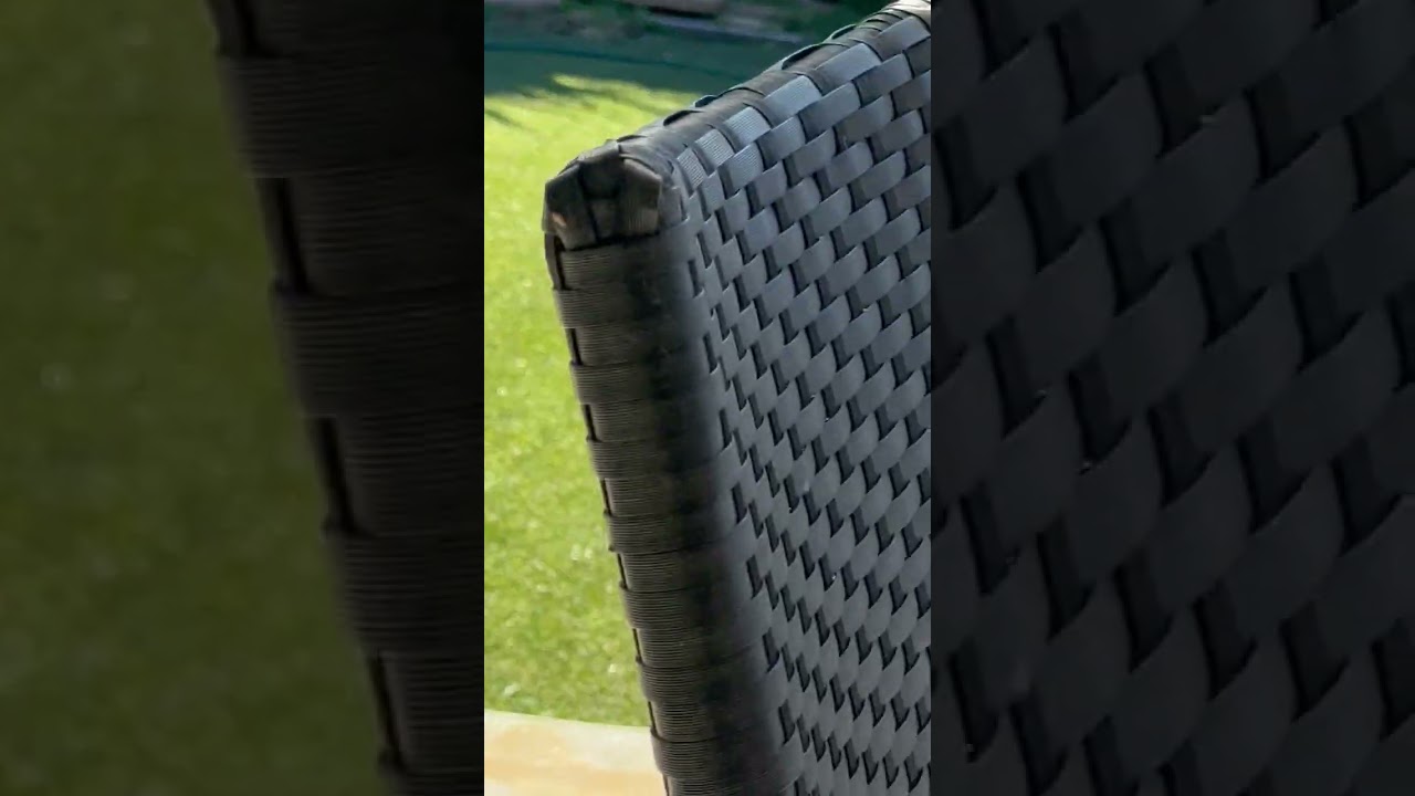 My cats friend likes to come in and eat Kira’s food lol l