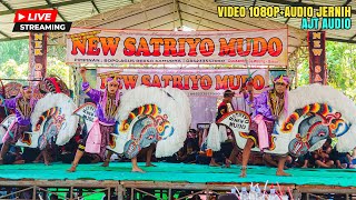 Live New Satrio Mudho Ketandan Lengkong Nganjuk FT Ajt Audio