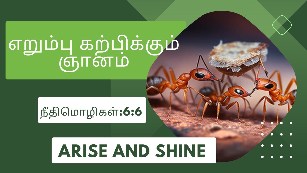 6 6 Arise And Shine Lesson Of 6-6-arise-and-shine-lesson-of