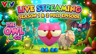 THE OWL & CO EPISODE 16-18 ANIMASI ANAK-ANAK VTV BAHASA INDONESIA 