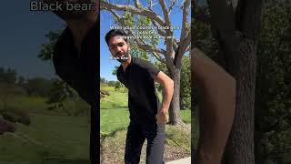 When you encounter a black bear vs polar bear vs Dagestani bear in the wild. #shorts #ufc #mma #skit