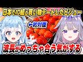 来日中のビジューがID組とお買い物デートに行った話【ホロライブID切り抜き/古石ビジュー/カエラ・コヴァルスキア/こぼ・かなえる/日本語翻訳】
