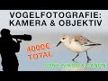 Welche Kamera & Objektiv für die Vogelfotografie - Kaufempfehlung für Fortgeschrittene (4000€)