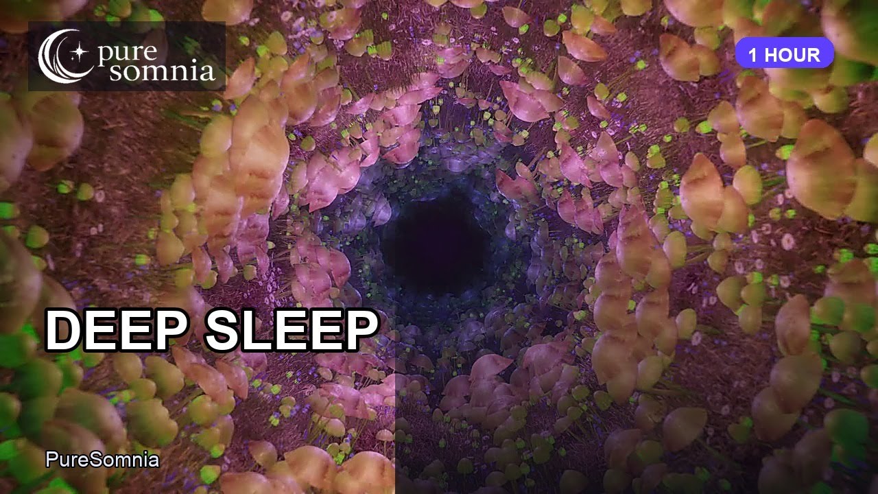 Fall Asleep in Minutes | Deep Sleep Music | 1 Hour Relaxing - YouTube