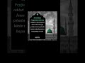 İmam Həsən(ə.s) Şəhadəti əla lənətullah ələl qövməz zalimin Əllahumməl ən qətələtə Əmirəl muminin