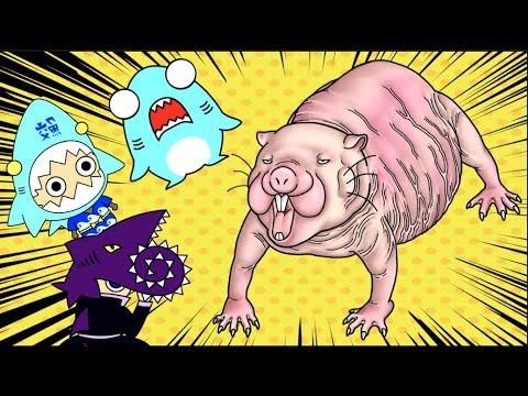 なーちゃんねるサメニンジャー なーちゃんねるサメニンジャー
