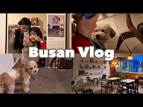 またまた韓国旅行〜釜山の可愛いカフェを見つけた☕️🌿〜/부산의 느좋카페에서 힐링 받았당☕️🌿