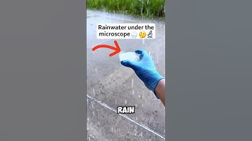 Rainwater Under the Microscope