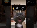 اذا زوجي اعطاني فلوس و سألني فين باقي الفلوس mp3