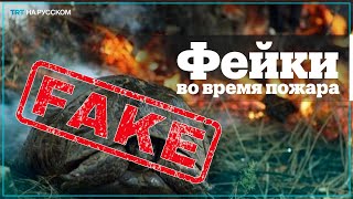 Вместе с лесными пожарами в Турции вспыхнули фейки