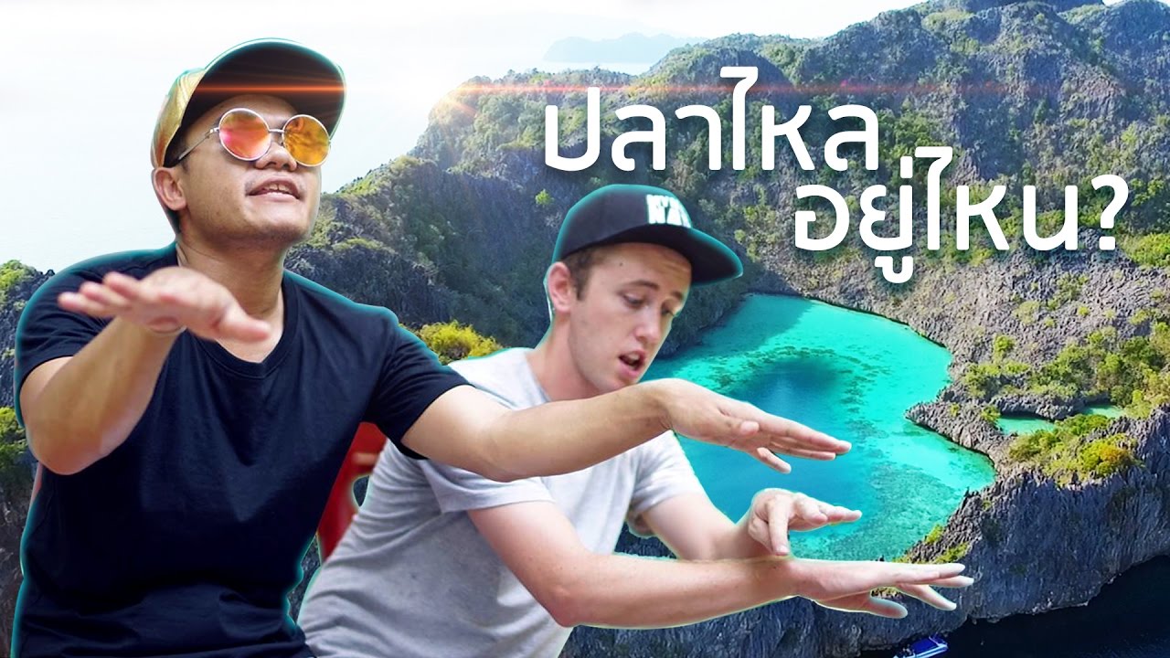 ไปหาปลาไหลที่เกาะหัวใจ  - Bie The Ska Feat.Net iDol (Parody That's What I Like - Bruno Mars)
