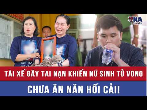 Student Fatally Struck in Vinh Long: Driver Sentenced to 30 Months, Courtroom Attitude Draws Atte...