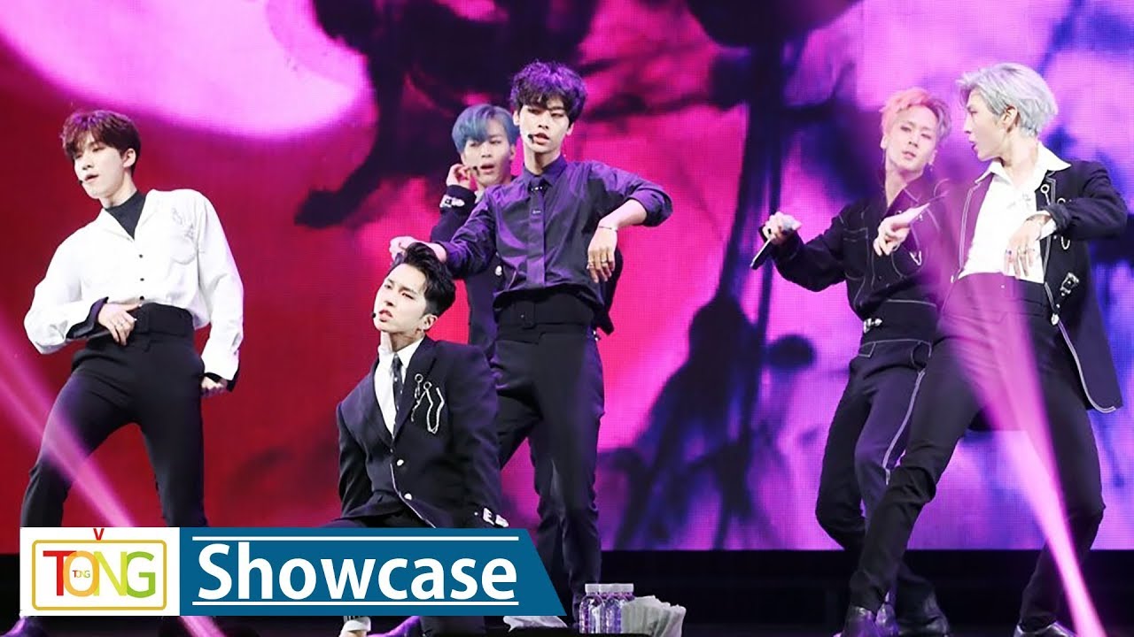 VIXX(빅스) 'Scentist'(향) Showcase Stage (쇼케이스, EAU DE VIXX, 오 드 빅스)