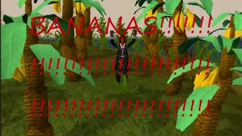 Runescape Randomness!