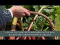 2 ways to cook with Rhubarb on the Aga and chatting about movies and trolls!