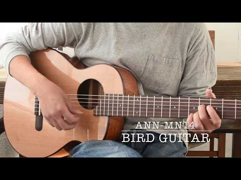 Bird Guitar aNN-MN14 - YouTube