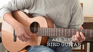 Bird Guitar aNN-MN14 - YouTube