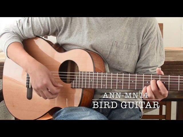 Bird Guitar aNN-MN14 - YouTube