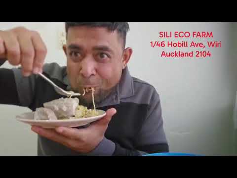 BEST A SILI ECO FARM 1/46 Hobill Ave, Wiri Auckland 2104