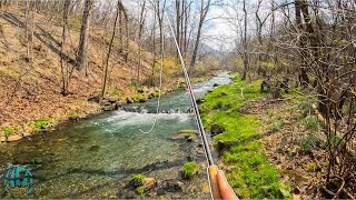 My New Personal Best Trout?? (Tenkara Fly Fishing for Rainbow Trout)