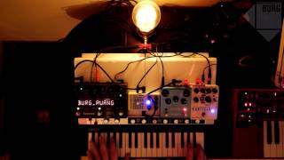 BURG - kowloon park (reface CP, eventide, strymon, red panda, catalinbread)