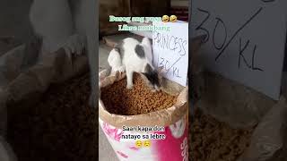 Mag Paka Busog Kalang Ako Mag Babayad