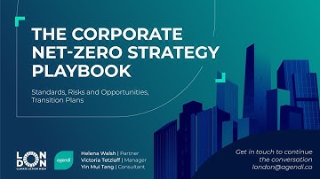 The Corporate Net Zero Strategy Playbook- Standards, Risk and Opportunities, Transition Plans