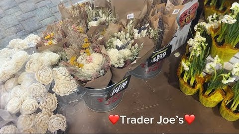 shopping at trader joes asmr ❤️🛒 ~ soft spoken, lofi