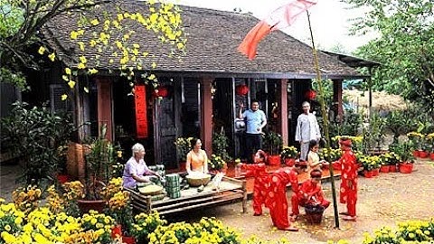 Thái bình quê lúa//Không khí tết/Phong tục đi chúc tết ở quê/ Xuân Kỷ Hợi 2019