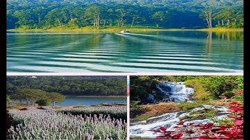 Trải nghiệm lái máng trượt KDL thác Datala, ngắm cảnh sắc Hồ Tuyền Lâm, đồi hoa Lavender