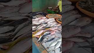 Ikan Vs Ayam Lebih Mahal Mana