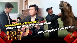 картинка: Ноокендеги төө ферманын сыры жантакта // МЕКЕНИМ МЕЙКИН берүүсү