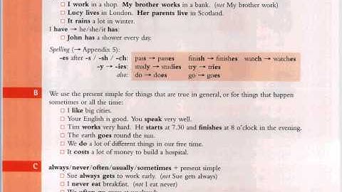 EssentialGrammarInUse 005 019 020