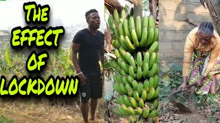 THE EFFECT OF LOCKDOWN (Lockdown Comedy -Episode 35)