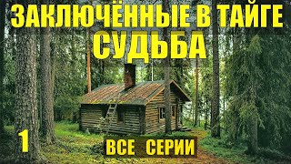 видео: КСЮША-1 ЗАКЛЮЧЕННЫЕ В ТАЙГЕ ВСЕ СЕРИИ ДОБЫЧА ЗОЛОТО ОТШЕЛЬНИКИ СУДЬБА ЖИЗНЬ В ЛЕСУ ИЗБУШКА ЛЕСНИКА 1 картинка: КСЮША-1 ЗАКЛЮЧЕННЫЕ В ТАЙГЕ ВСЕ СЕРИИ ДОБЫЧА ЗОЛОТО ОТШЕЛЬНИКИ СУДЬБА ЖИЗНЬ В ЛЕСУ ИЗБУШКА ЛЕСНИКА 1