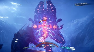 Defeating the Remnant Architect on Voeld - Insanity Difficulty