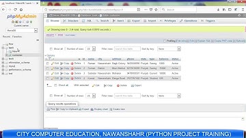 Python Retrieve Data From MySQL (MariaDB)