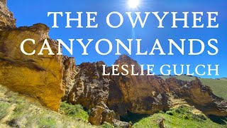 The Owyhee Canyonlands: Leslie Gulch