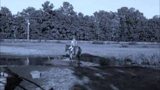 Video 2 Dubstep